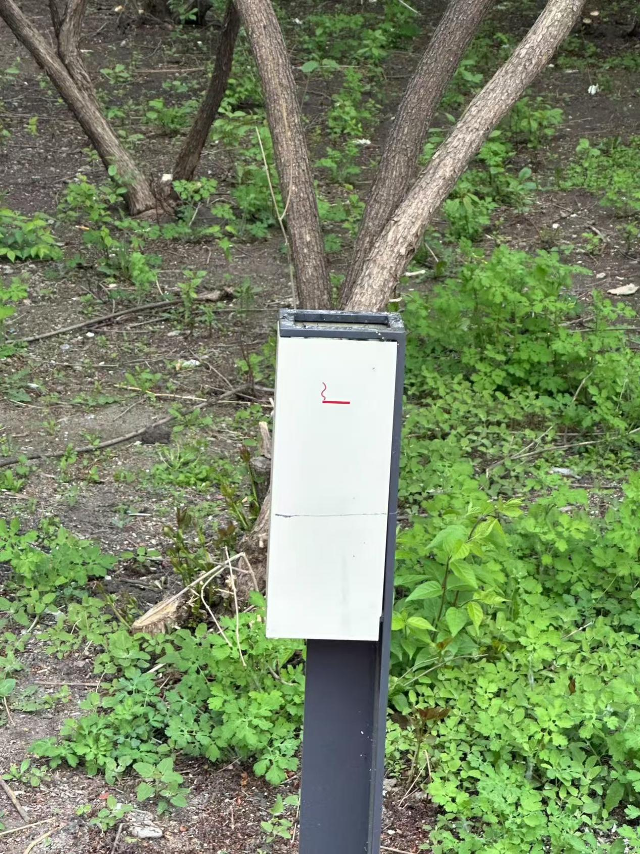 35C604